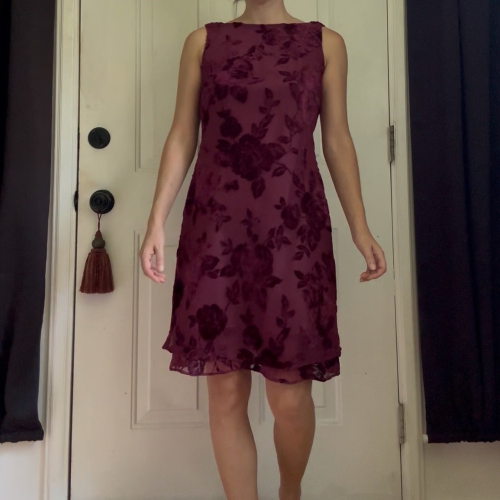 Vintage 90s Whimsigoth Burnout Velvet Dress - Picture 11 of 15